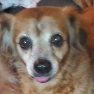 Meet your Posher, Kiersten